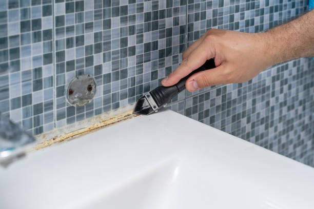 Best Toxic Mold Removal  in Tome, NM